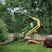 Best Fruit Tree Pruning  in Sag Harbor, NY