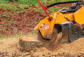 Best Lawn Renovation and Restoration  in Sag Harbor, NY